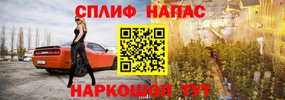 mdpv Беслан