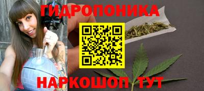 спайс Берёзовский