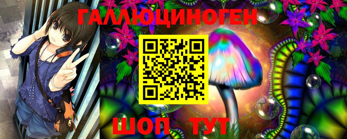 Псилоцибиновые грибы Psilocybine cubensis  Вход с VPN  где продают   Качканар 